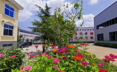 秸秆草莓视频下载网站哪家好？