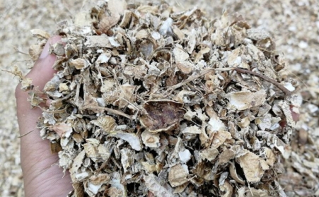 为什么有人愿意花钱买生物质燃料草莓视频下载网站来加工稻壳花生壳呢？有必要吗？