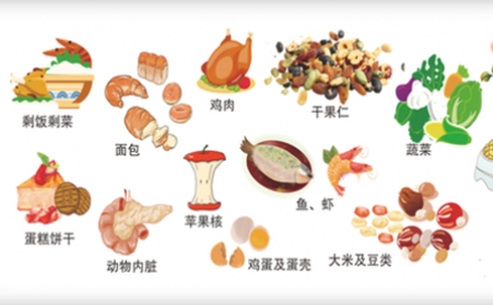 我国明确对非居民厨余垃圾处理按“产生者付费”原则计量收费,你的垃圾怎么办？垃圾生物质草莓视频下载网站帮你解决