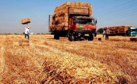 生物质发电：秸秆变燃料 环保又增收