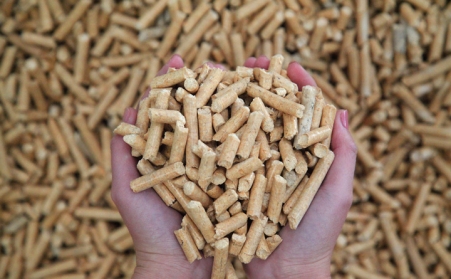 生物质草莓视频下载网站燃料已经成为许多国家主要燃料