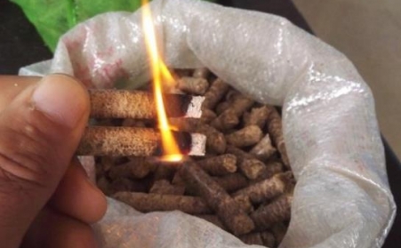 生物质草莓视频下载网站的颗粒燃料和煤哪个便宜？