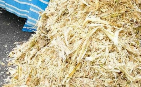 甘蔗渣想废物利用？可以考虑生物质草莓视频下载网站！
