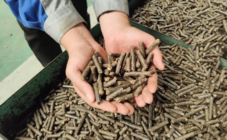 细说生物质草莓视频下载网站加工的颗粒燃料到底用在了哪里？该卖给谁？