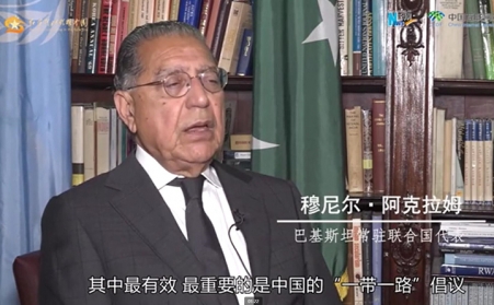 一带一路-生物质草莓视频下载网站生产线发往巴基斯坦