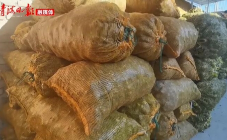 青海海东乐都：生物质颗粒燃料燃起乡村振兴新希望