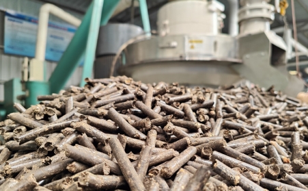 如何将秸秆变成颗粒燃料，他们似乎找到了答案！