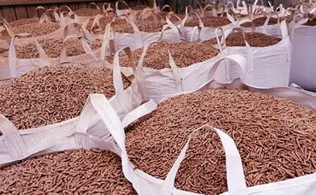 广东省潮州市湘桥区：废枝杂木“变身”生物质颗粒燃料，环保又增收