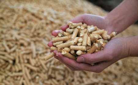 瓦房子镇：生物质燃料颗粒项目 支撑绿色低碳发展