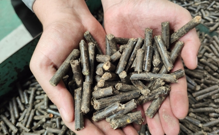 生物质草莓视频下载网站加工的颗粒燃料销路请您看！