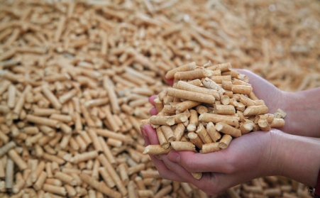 生物质草莓视频下载网站颗粒燃料助力乡村振兴