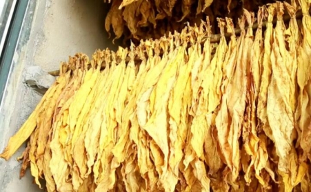 湖北省十堰市竹溪桃源乡：生物质燃料运输正当时