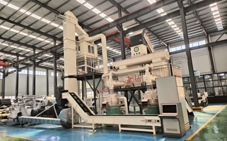 每小时3吨生物质草莓视频下载网站生产线，需要多少钱？