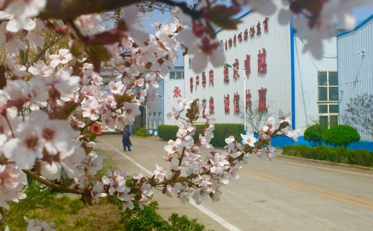 草莓视频APP网址进入18在线四季